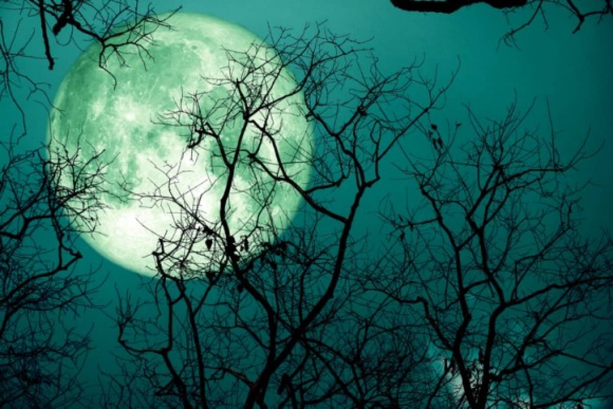 11月の満月は半影月食と共にやってくる