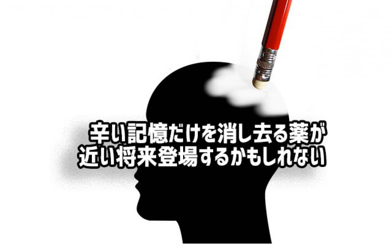 辛い記憶を取り除く「忘れ薬」の開発に一歩前進。タンパク質の関与を断ち切ることで有効性がアップ