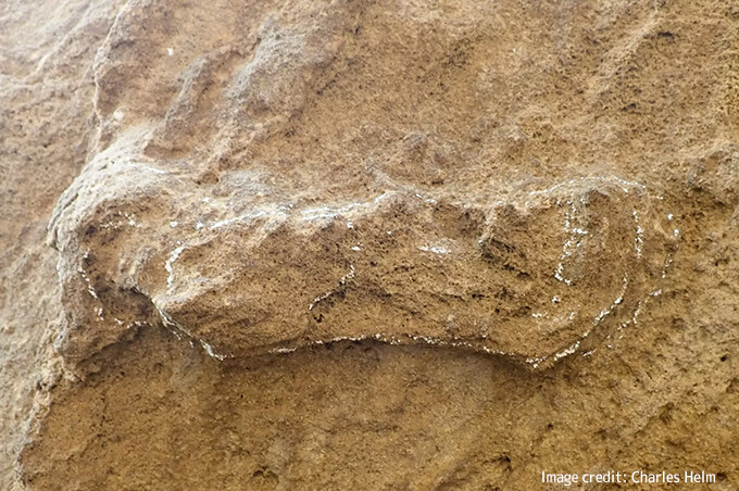 記録上最も古い15万3000年前のホモ・サピエンスの足跡を南アフリカで発見