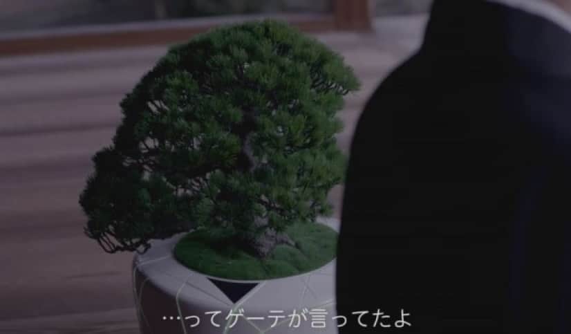 bonsai6_e