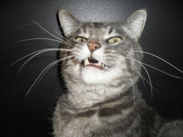 sneeze10_e