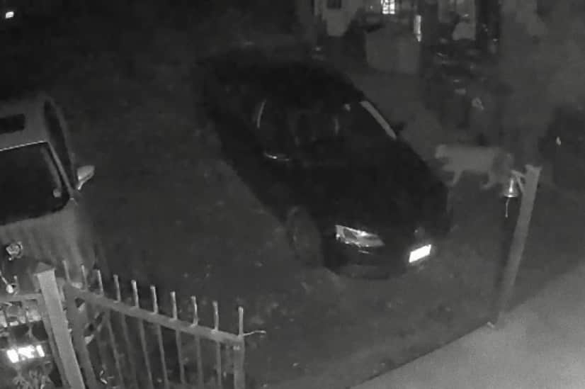 doorbell camera 6_e