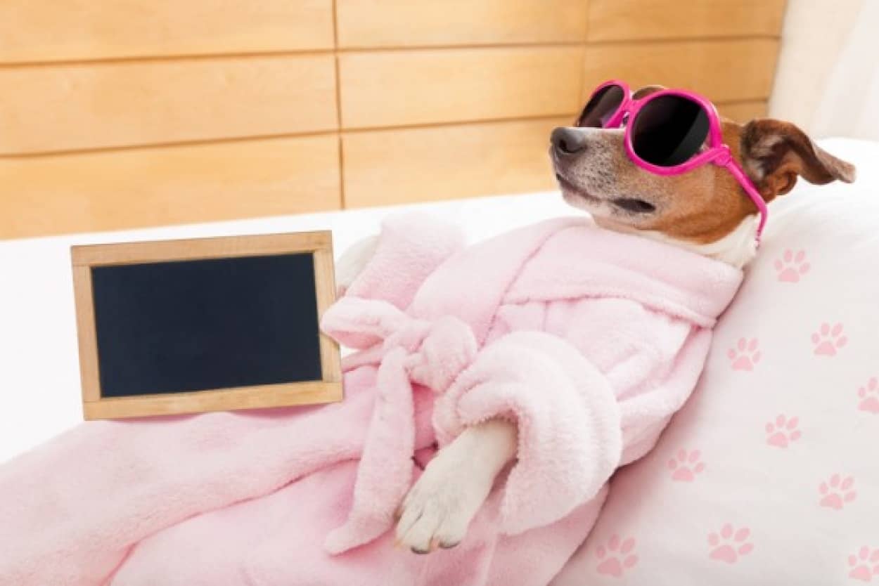iStock-507577804_e