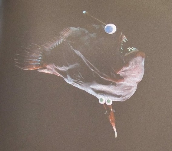 5_e5