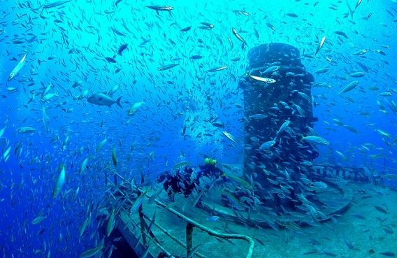 amazing_artificial_reefs_01