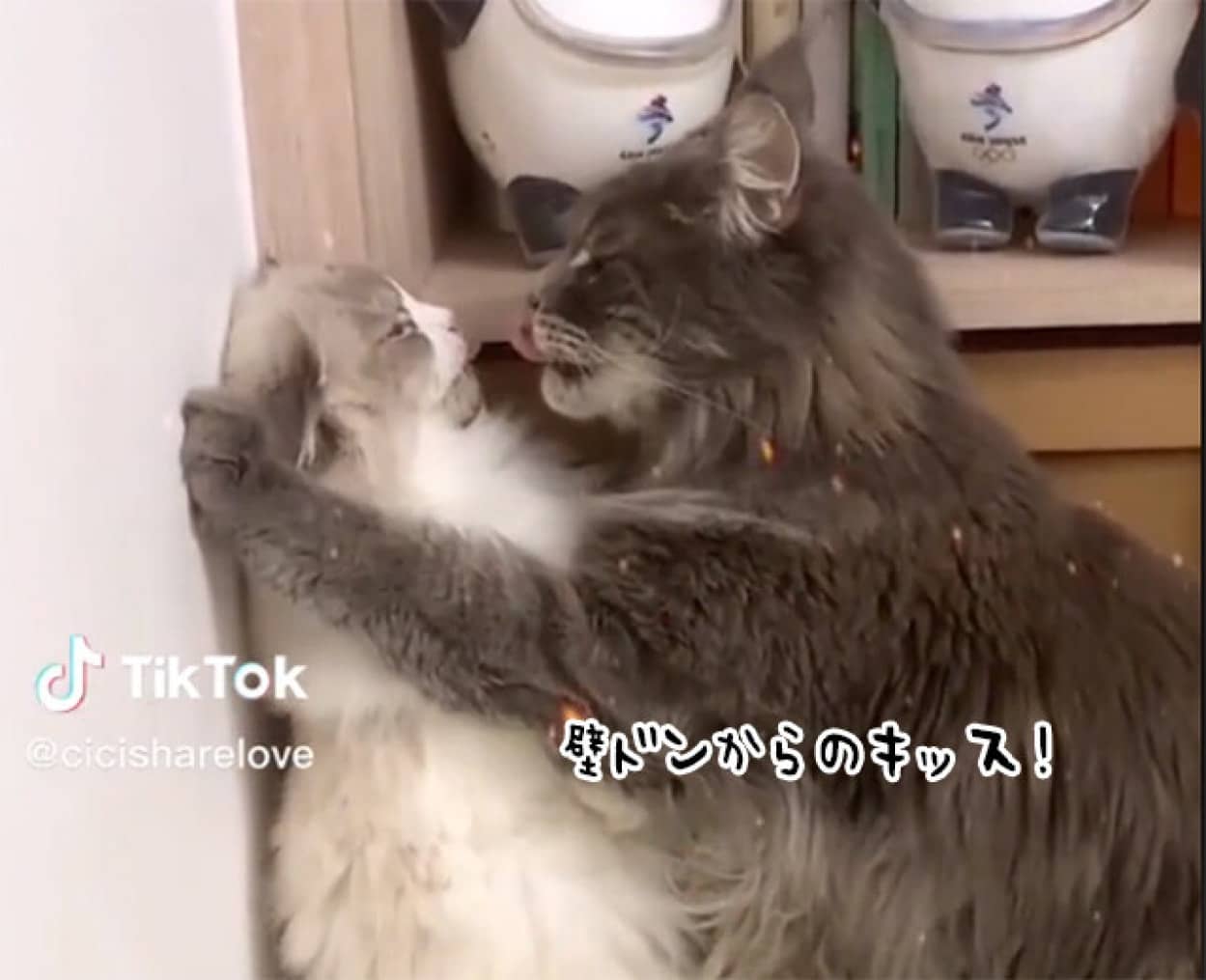 イケメン猫による超絶キスのテクニックno title