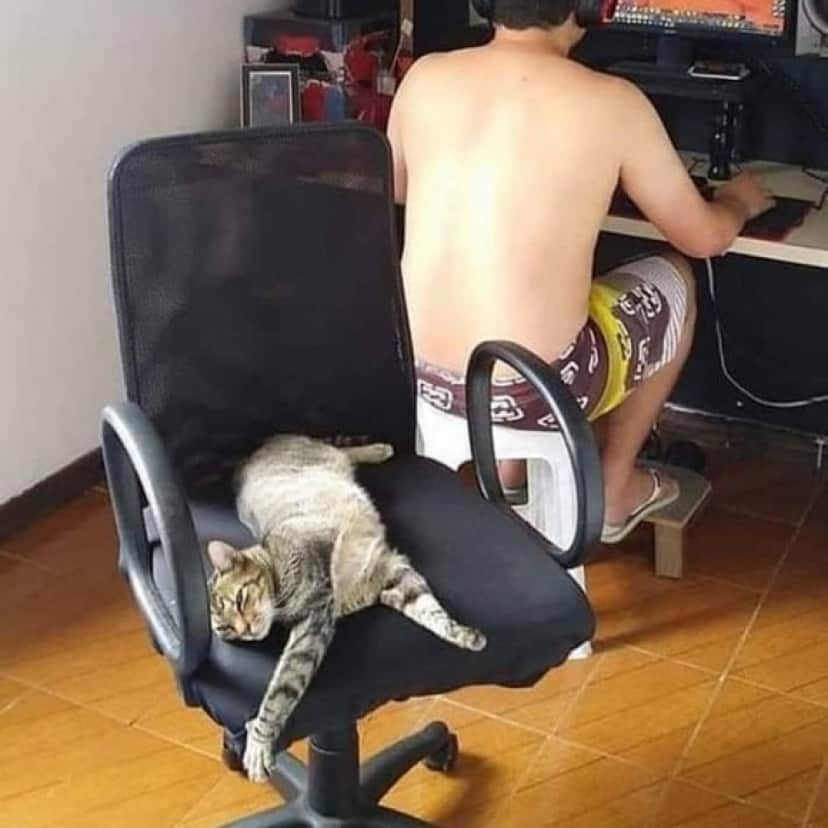 5_e