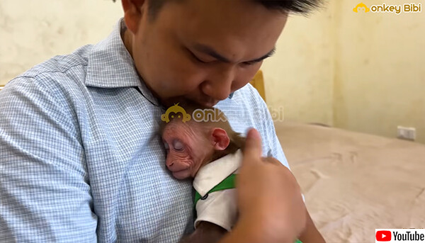 お父さんが帰ってきた！留守中毎日窓際で待ち続けた子ザルが喜びを全身で表現