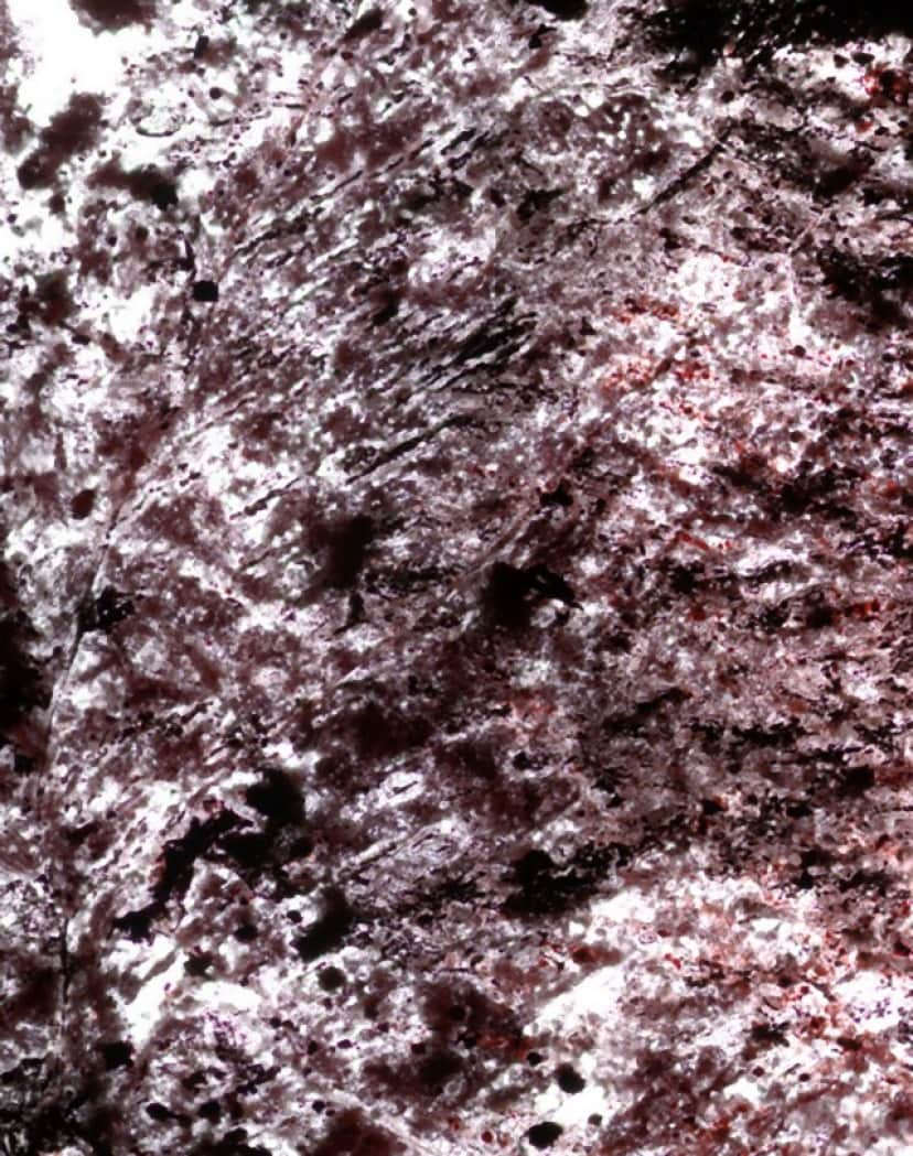 2_e