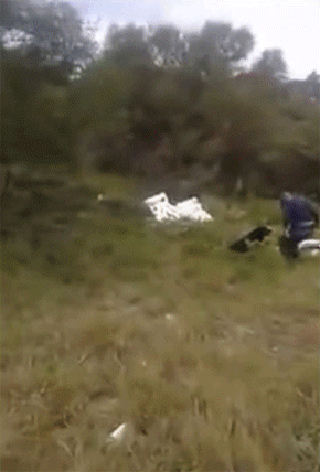 警察犬の訓練風景 犬が何かを捕えた それを見た警察官のリアクションがマジドリフ 南アフリカ カラパイア 警察犬の訓練風景 犬が何かを捕えた それを見た警察官のリアクションがマジドリフ 南アフリカ カラパイア