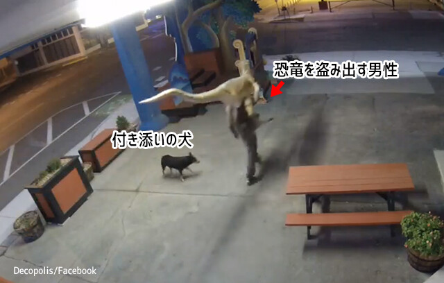 犬を連れた男性が恐竜を盗み去る。その一部始終をとらえた監視カメラ映像