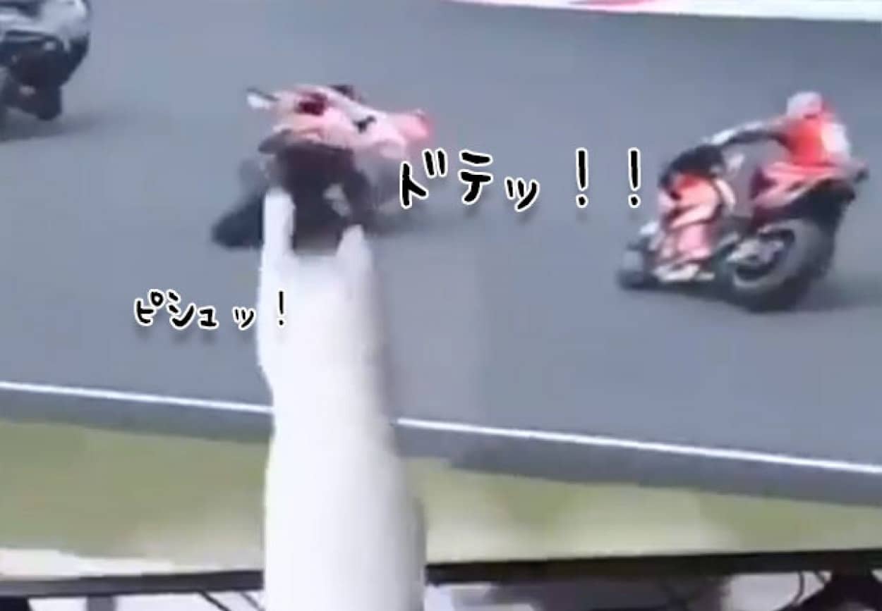 猫により転倒させられるテレビ内の人々