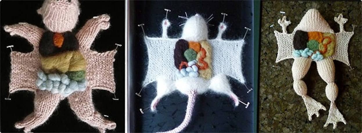 かわいい編みぐるみが解剖されたバージョン Aknitomy カラパイア