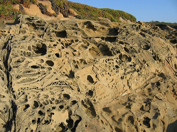 tafoni 14