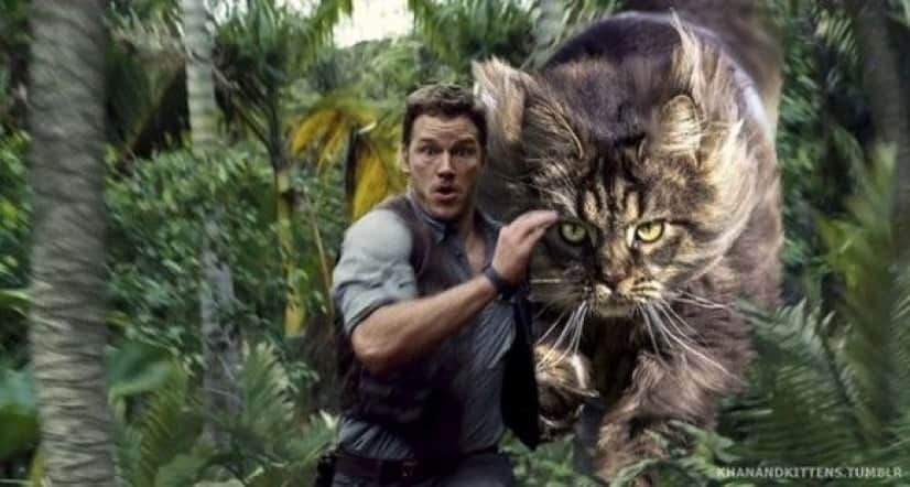 jurassic_park_dinosaurs_07_e