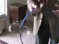 どうなってるの?
