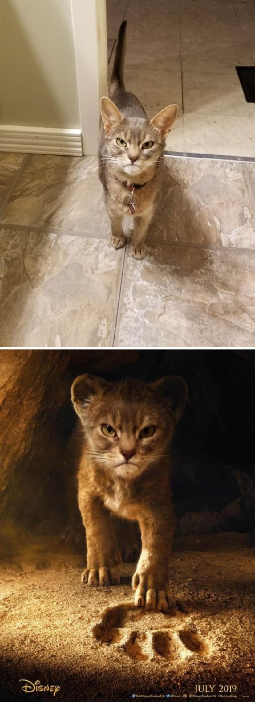 コラ職人が腕を振るう 19年フォトショップバトル優秀作品15 カラパイア