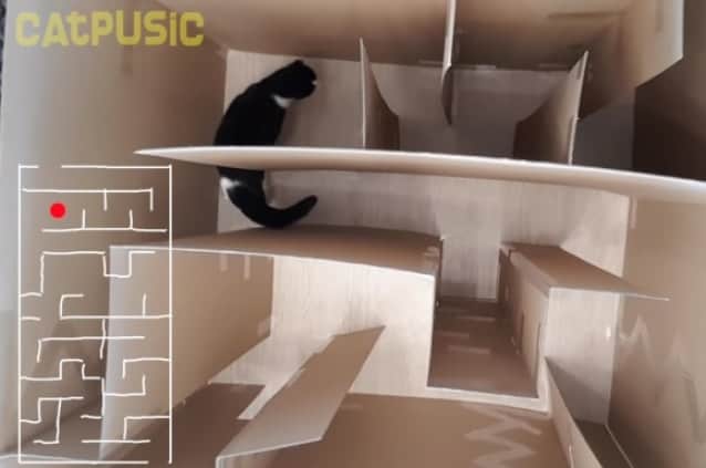 猫の脱出大作戦 ダンボールで作った巨大迷路をクリアすることができるのか カラパイア