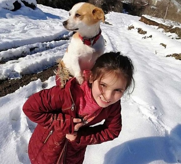 病気の犬を背負って雪の中を歩き続け、獣医に助けを求めた少女（トルコ）