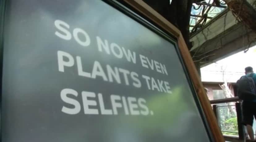 plant2_e