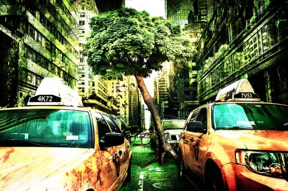都会の緑地、どちらの自然がメンタルヘルスに効果的なのか？大きな木々と青々と広がる草地（オーストラリア研究）