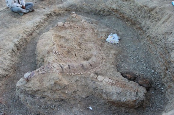 インドで1億5000万年前の海の怪物 イクチオサウルス を発見 カラパイア