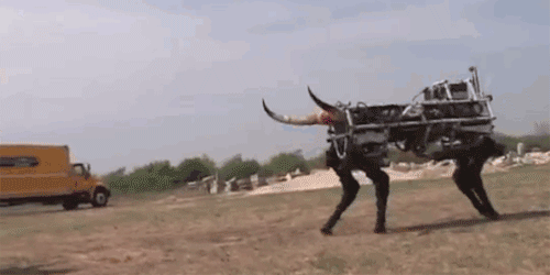 似て非なる 人類がこれまでに開発した奇妙な動物型ロボット サイボーグ カラパイア 似て非なる 人類がこれまでに開発した奇妙な動物型ロボット サイボーグ カラパイア