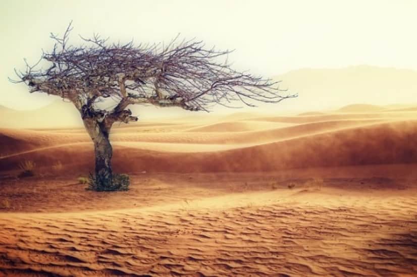 desert-2227962_640_e