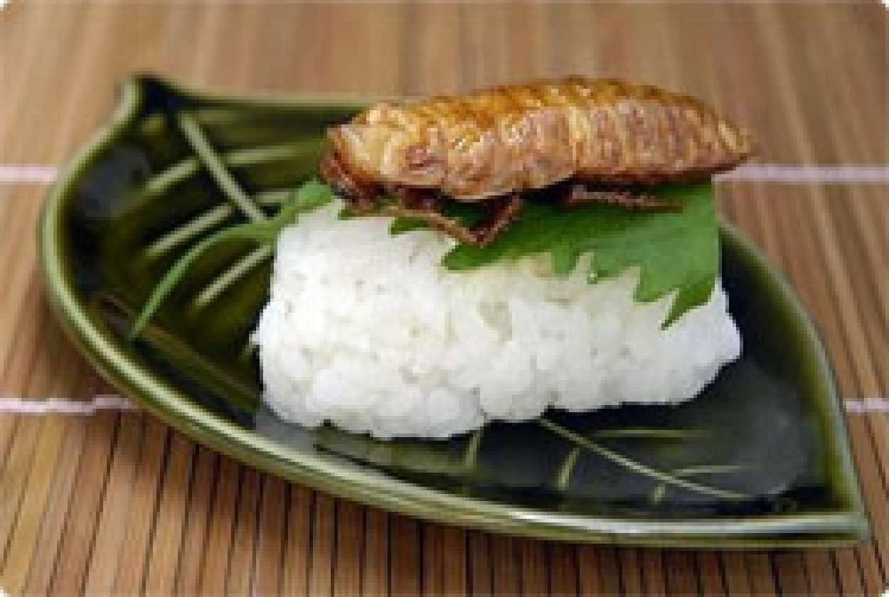 むし