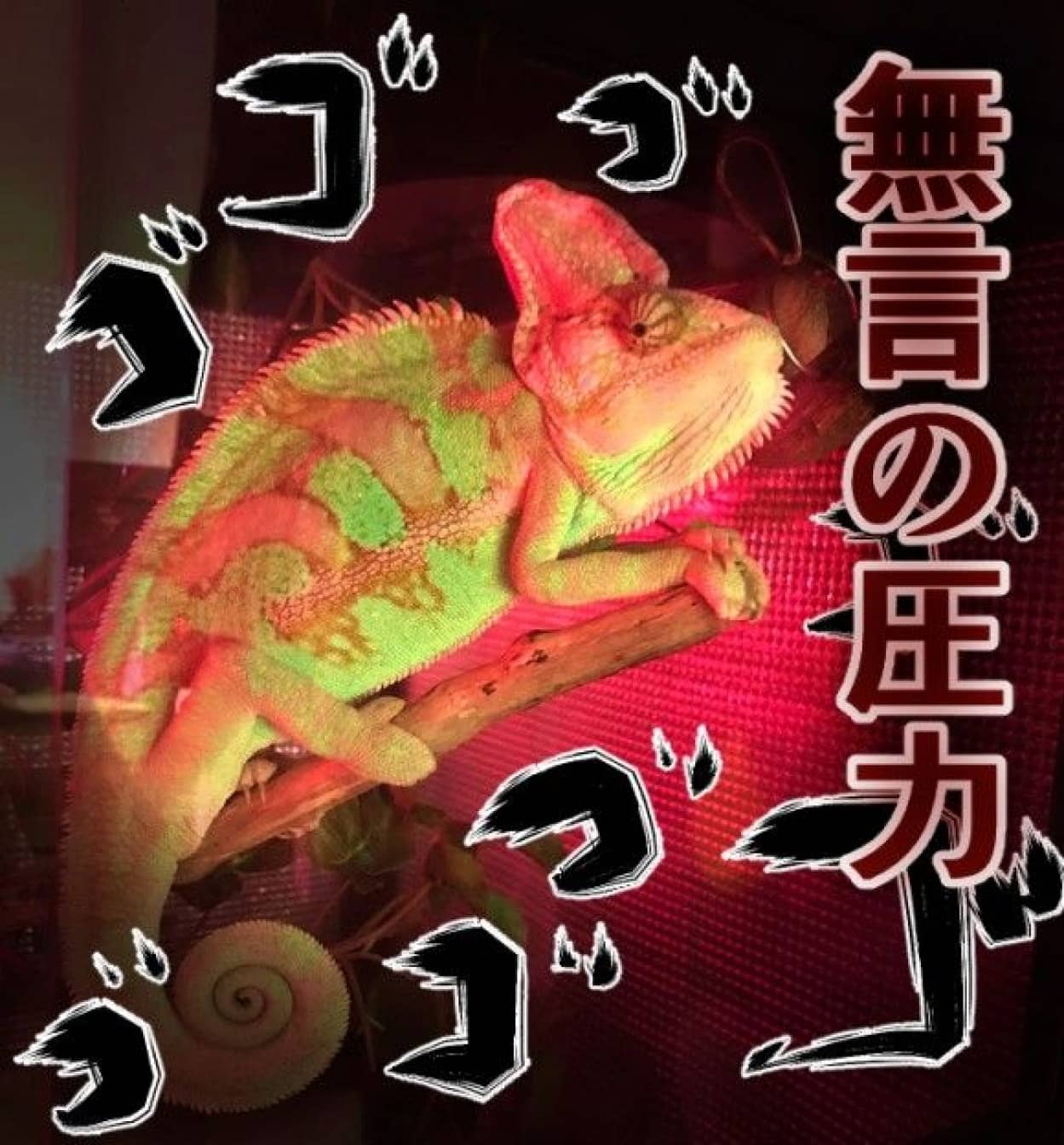 サムネ_e_e