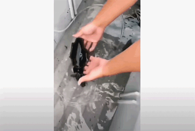 no title