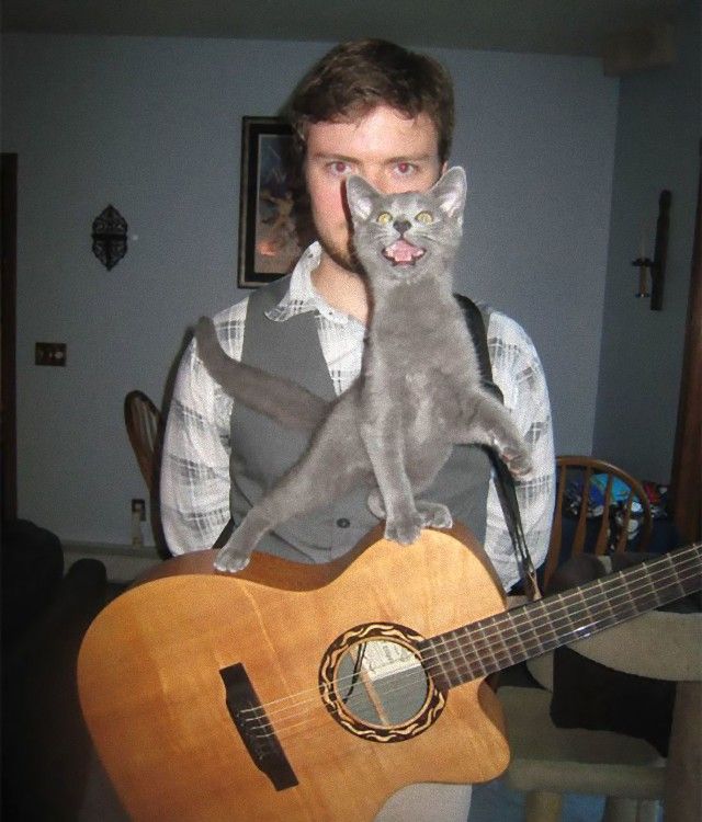 funny-cat-photobombs-106-58e38efb8d7d8__605_e