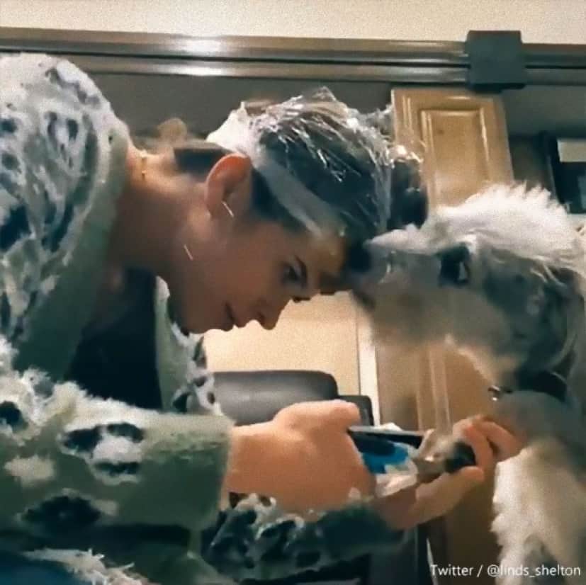 なぜ彼女はおでこにピーナッツバターを塗ってるんでしょう 正解はこの後犬 カラパイア