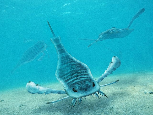 先史時代 オーストラリアの海に存在した巨大ウミサソリの最新研究 カラパイア