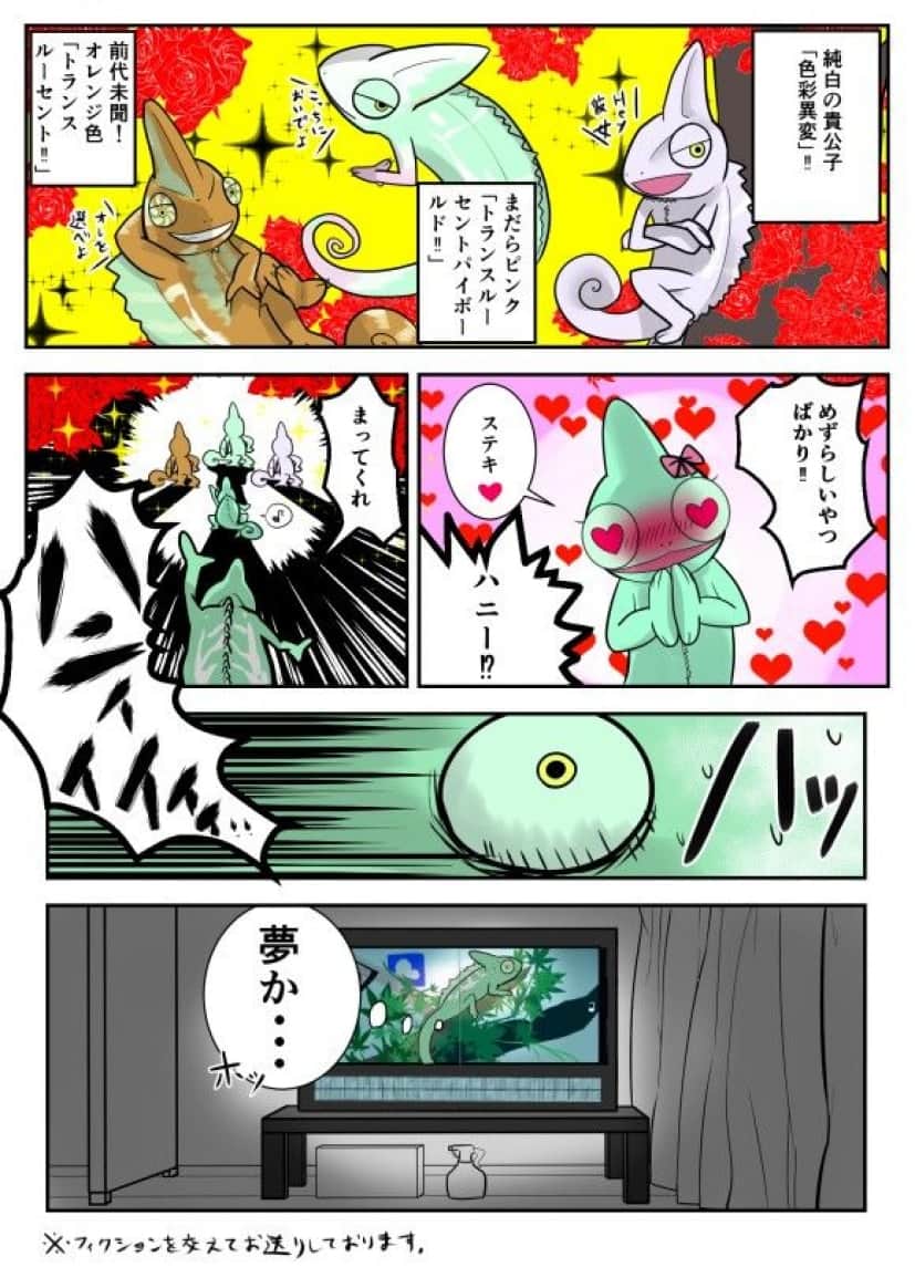 載せる用2