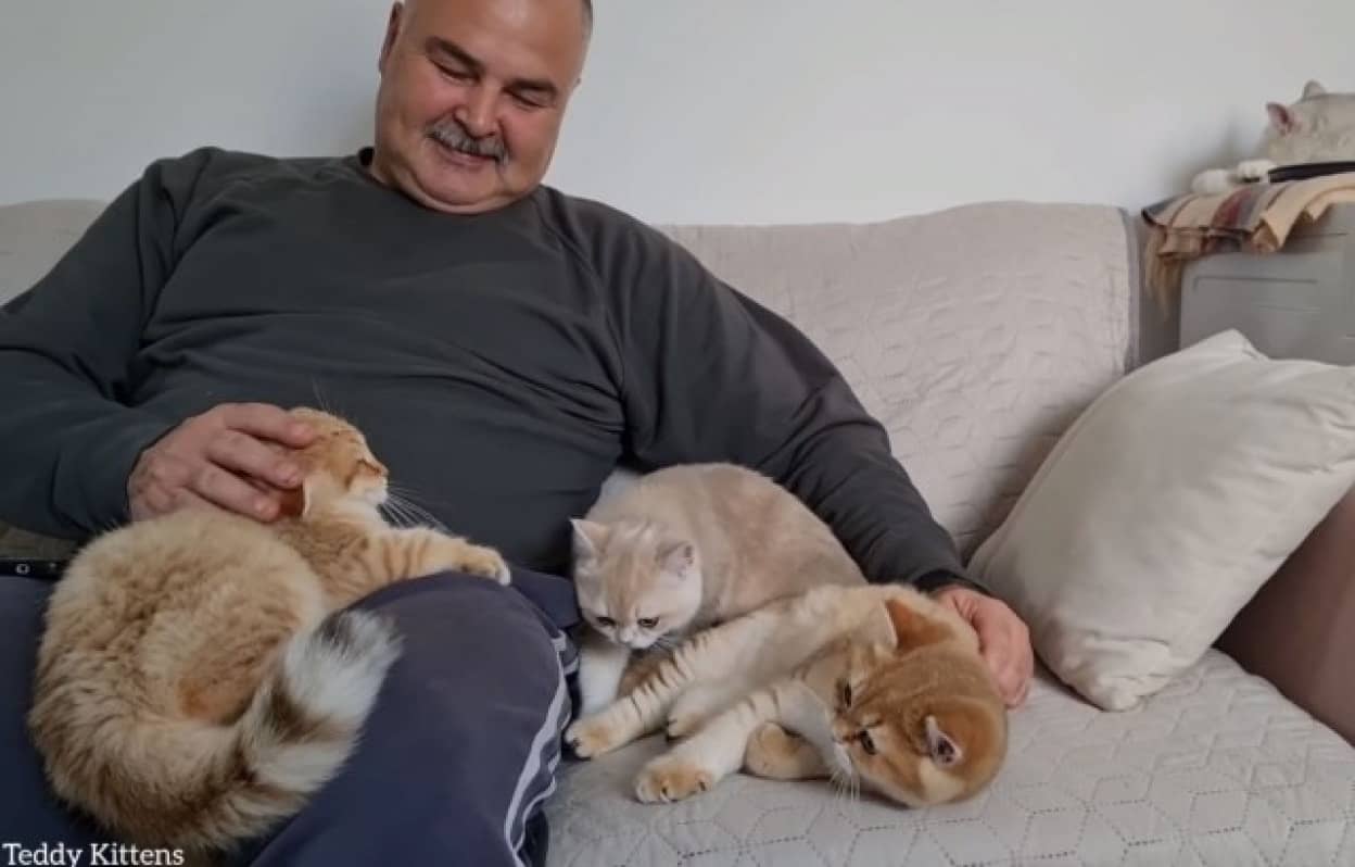 ねこざんまい 子猫たちに囲まれてうれしさがダダ洩れ中のお父さん カラパイア