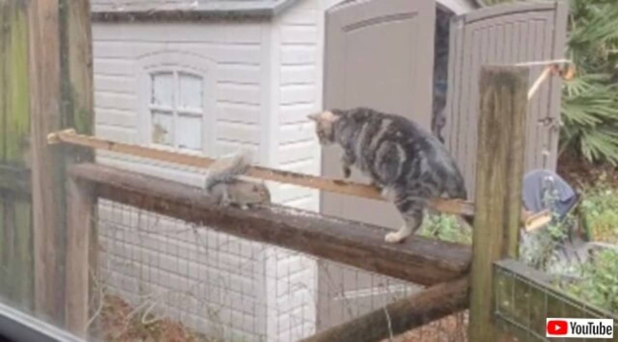 20231229_070459 (6)_batch