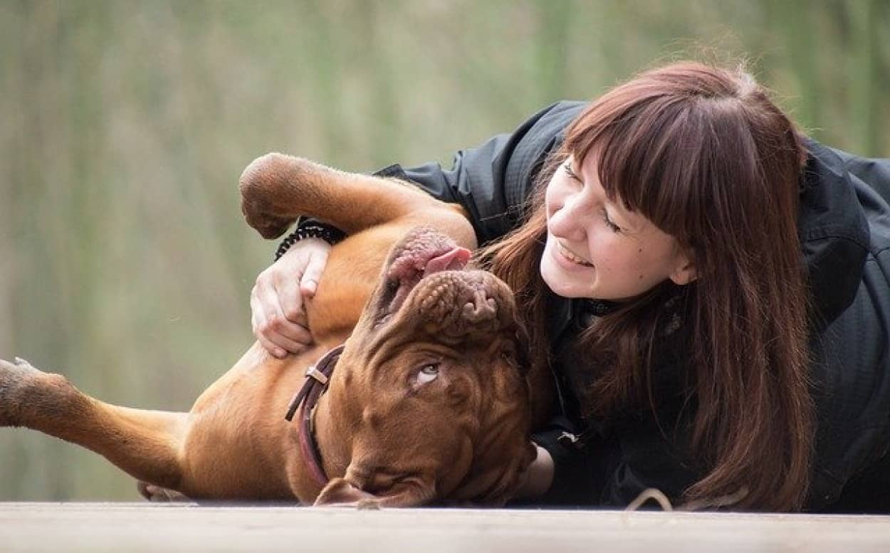 実際のところ犬は人間のことをどう思っているのだろう 脳スキャンで明らかになった犬の本音は それでも人間を愛してる 各国研究 カラパイア