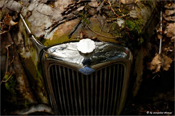 cars_17