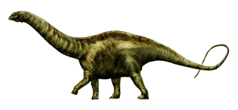 Apatosaurus_louisae_by_durbed