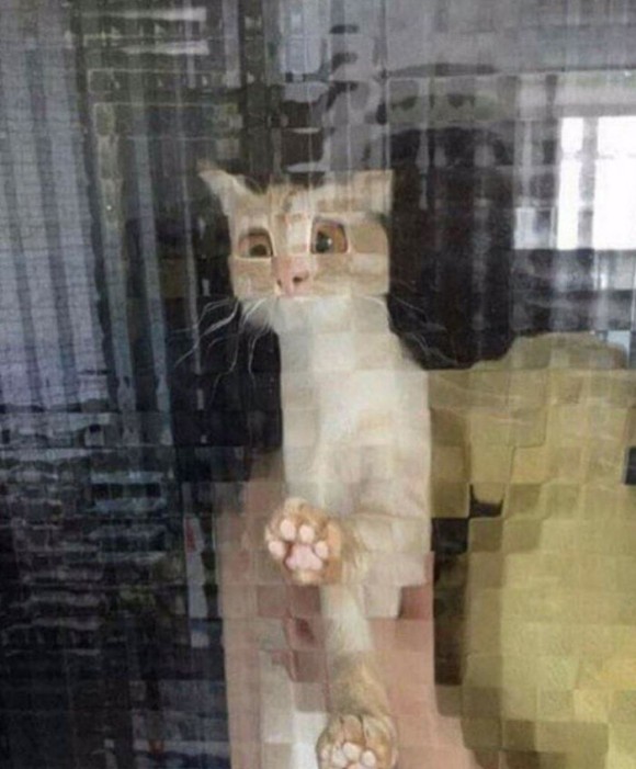 3_e