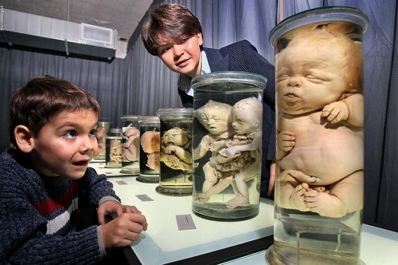 awesome_explanation_less_photos_from_russia_08