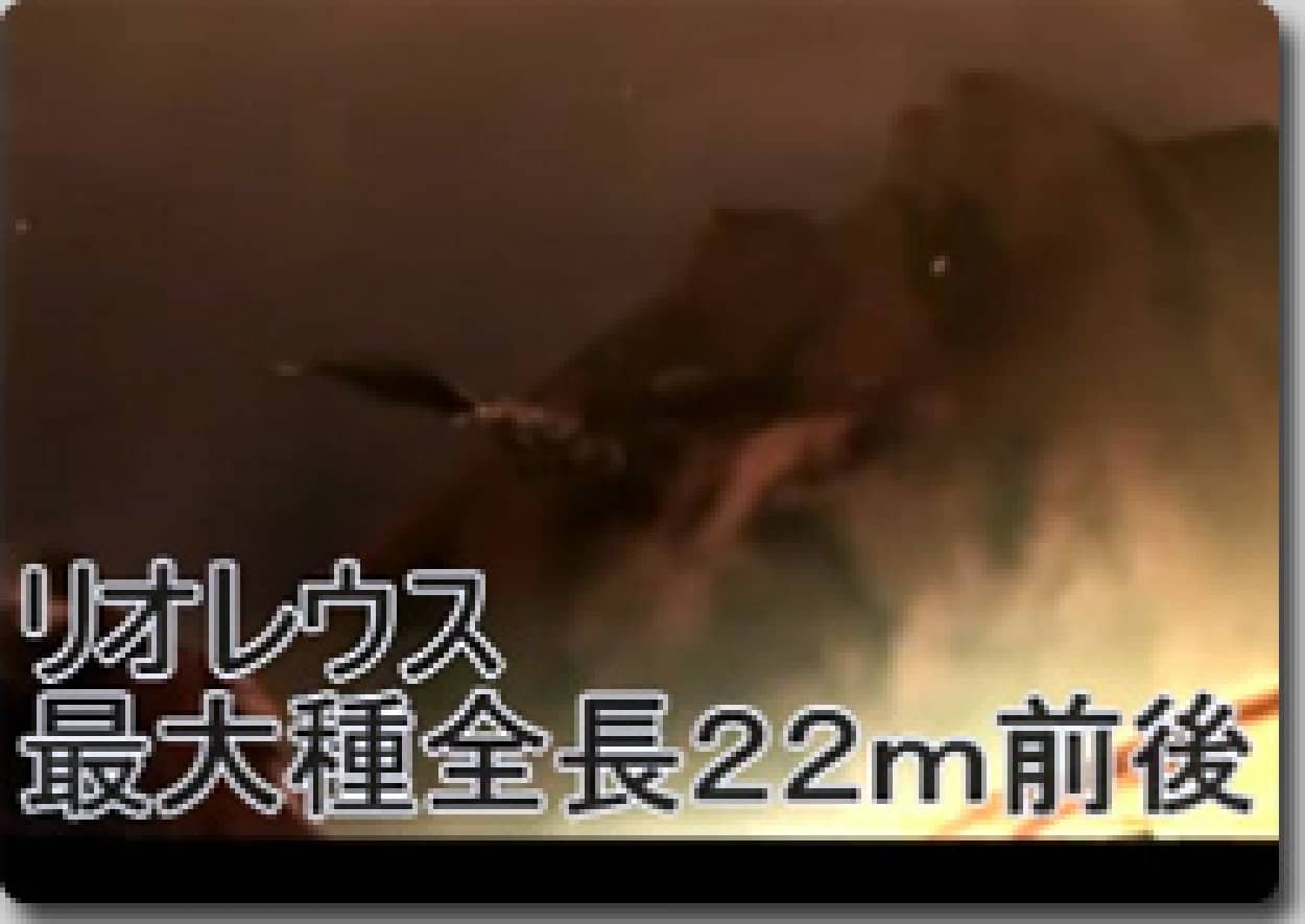 ティラノサウルスから和田アキ子まで 生物の大きさ比較映像 カラパイア ティラノサウルスから和田アキ子まで 生物の大きさ比較映像 カラパイア