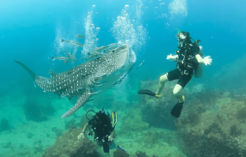 okinawa2