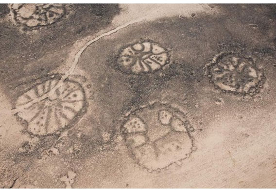 Google Earthがとらえた 謎に包まれた中東の古代建造物 カラパイア Google Earthがとらえた 謎に包まれた中東の古代建造物 カラパイア