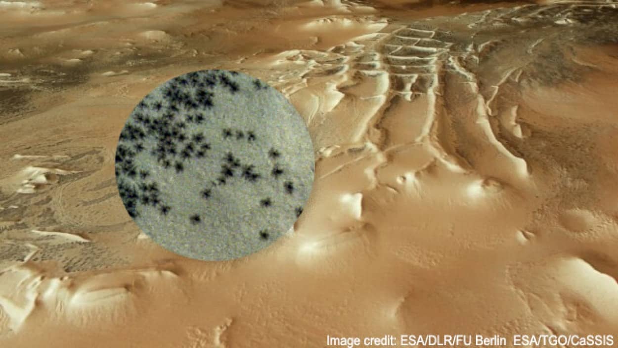 火星の表面に大量の黒い蜘蛛のような物体が出現