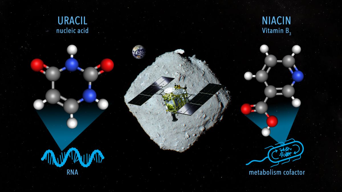 uracil-niacin-ryugu