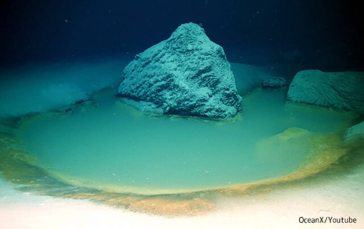 初期地球の環境に似た海底の塩水溜まり