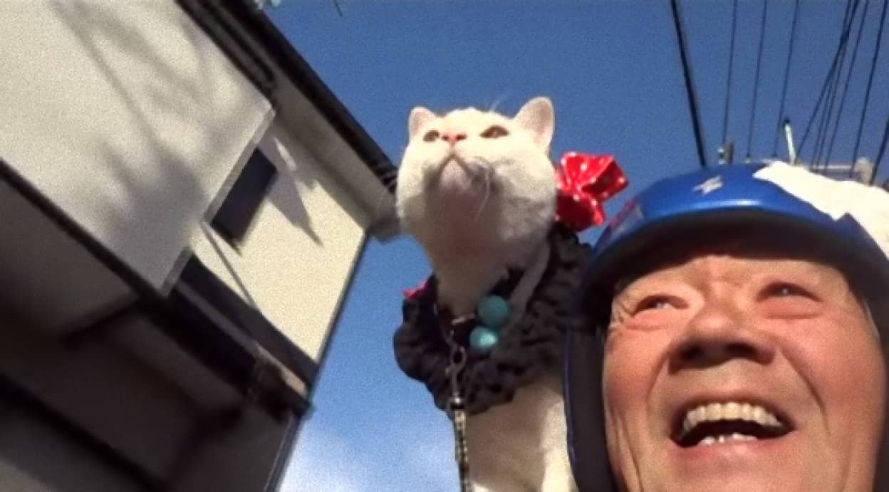 猫の竜之介と勝次おじいさんの幸せドキュメント 肩に乗ってバイクでお散歩 いつも一緒が楽しいね カラパイア