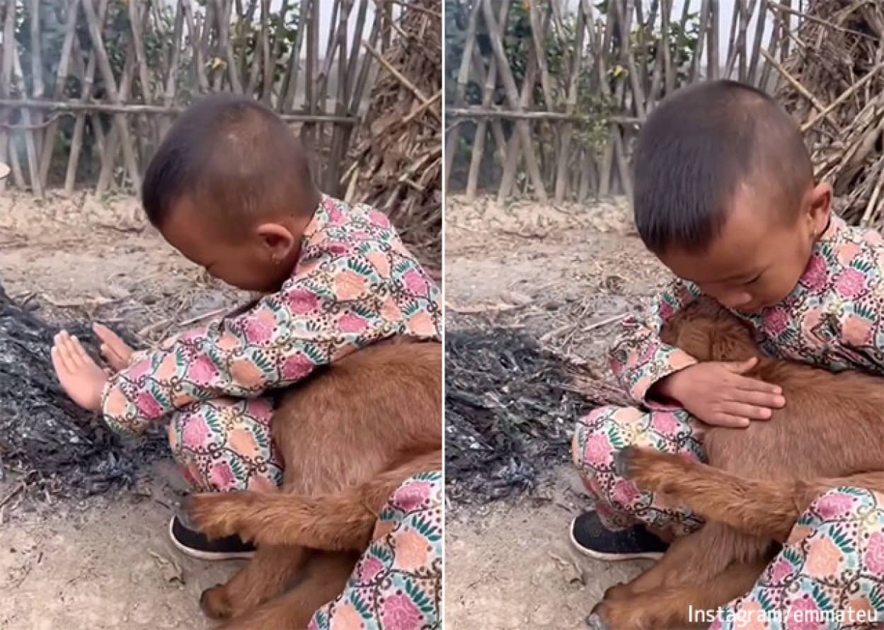 自分の手で犬をあたためようとするやさしい少年